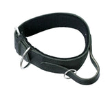 Schweikert Leather dog collar with felt padding handle - top angle